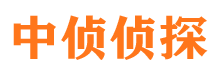 临县市侦探调查公司